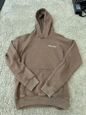 Abercrombie & Fitch Kids Brown Hooded Sweatshirt